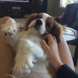 Meet your Posher, Kenna